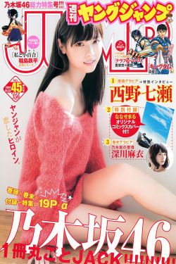 梅花儿香电视剧1一48